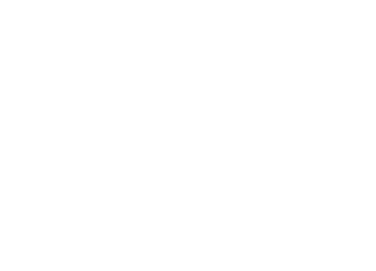 Hotel Piscul Negru Logo