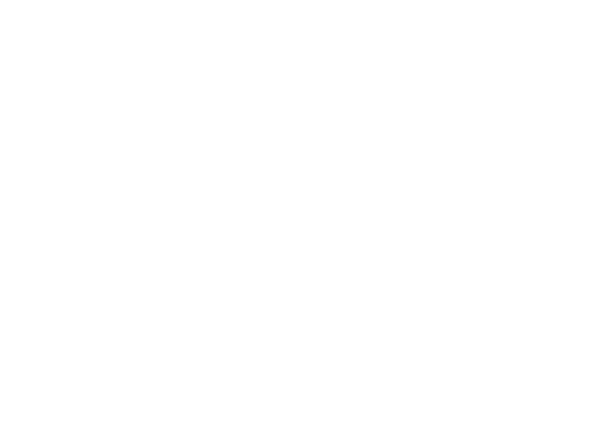 Hotel Piscul Negru Logo